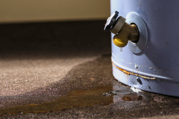 Best Local water damage restoration  in Stanton, NE