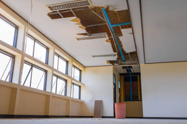 Stanton, NE Water damage restoration Pros