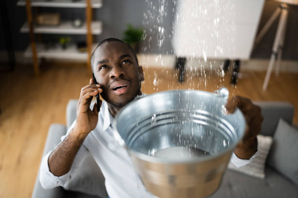 Best Water damage restoration specialists  in Stanton, NE