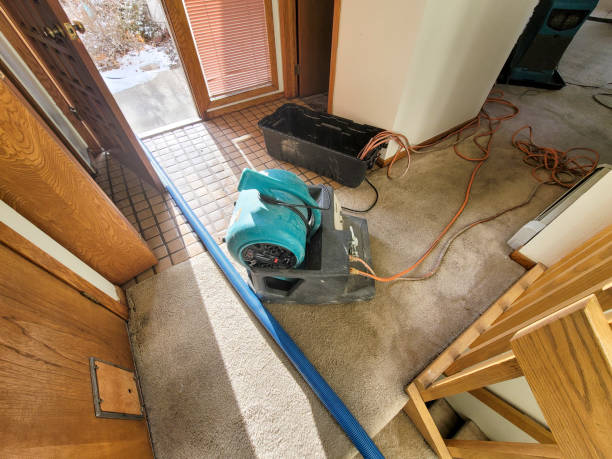 Best Fire Damage Restoration  in Stanton, NE