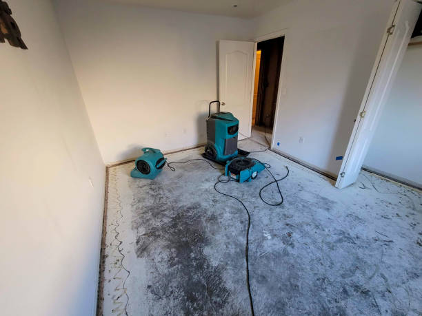 Best Residential water damage restoration  in Stanton, NE