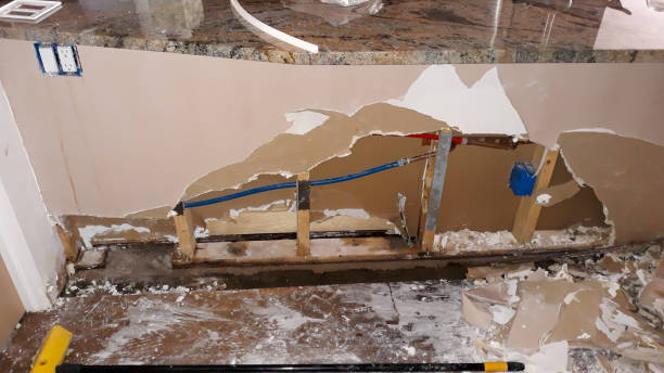 Best Flood damage cleanup  in Stanton, NE