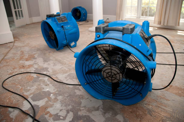 Best Water damage restoration near me  in Stanton, NE