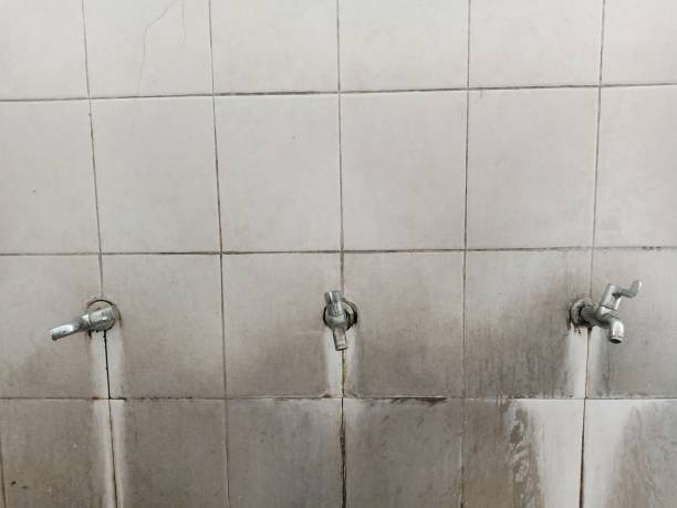 Best Commercial water damage restoration  in Stanton, NE