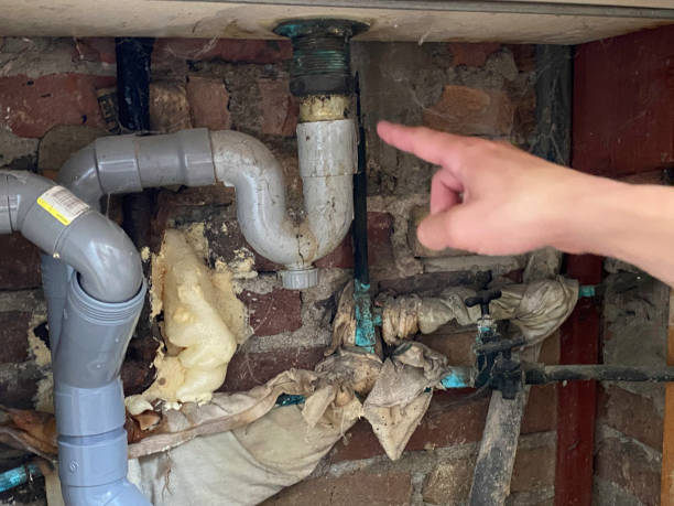 Best 24/7 water damage repair  in Stanton, NE