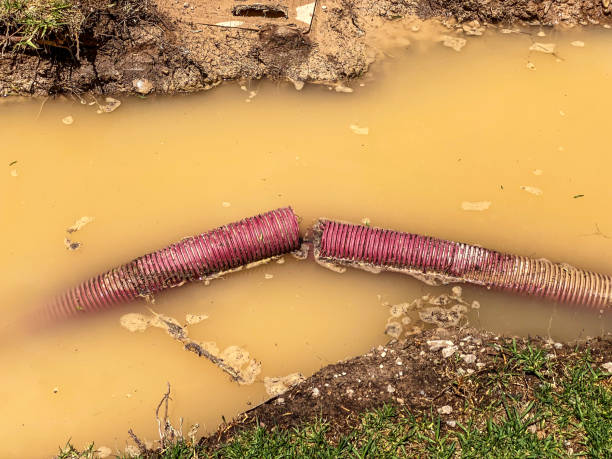 Best Water damage contractors near me  in Stanton, NE